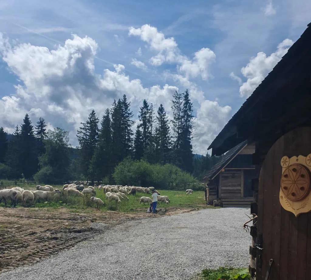 Bacówka Witów: Odkryj tradycję góralską i wyjątkowe smaki